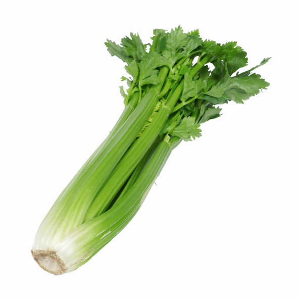 Celeri_pascal