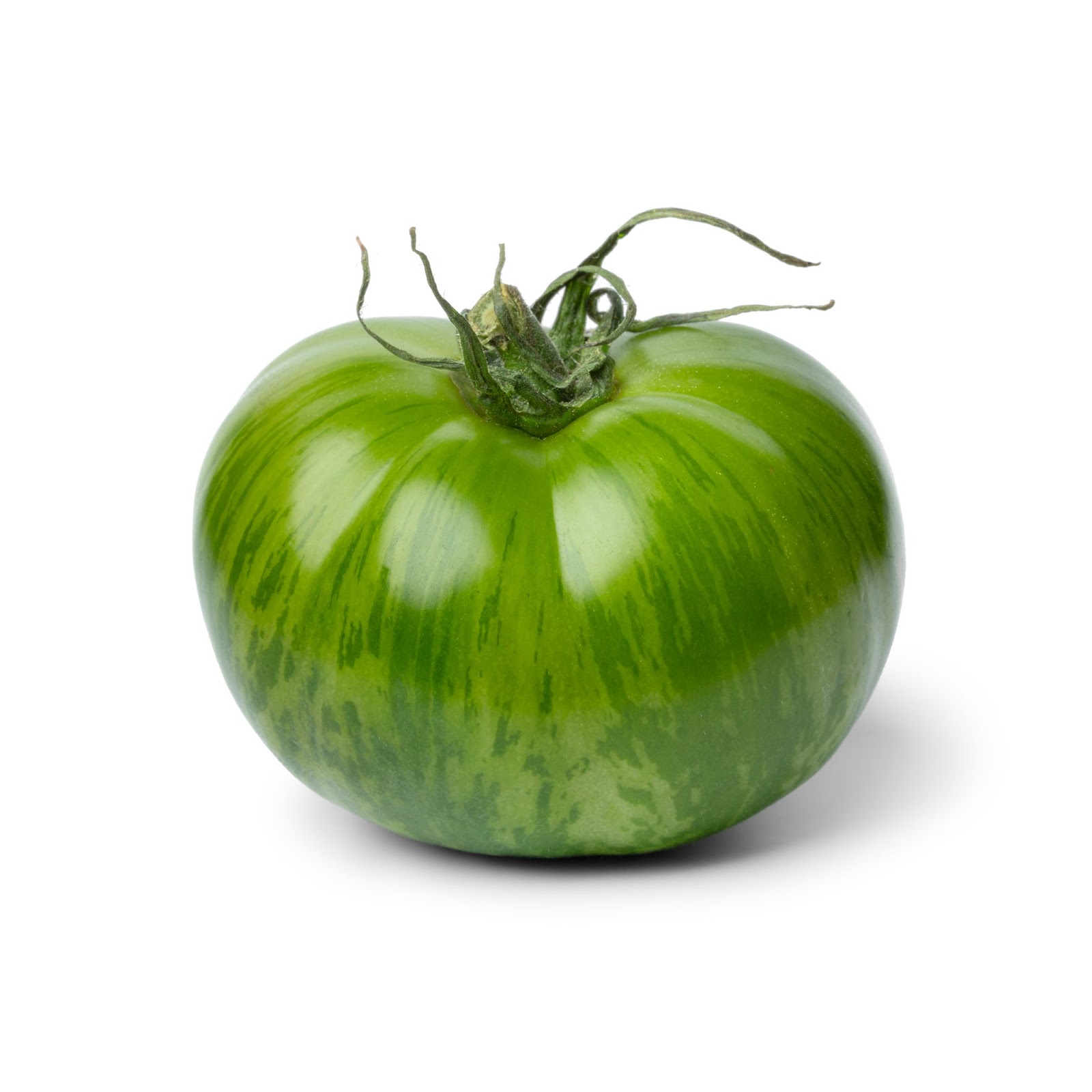 Comment bien faire pousser des tomates ? - Gamm vert