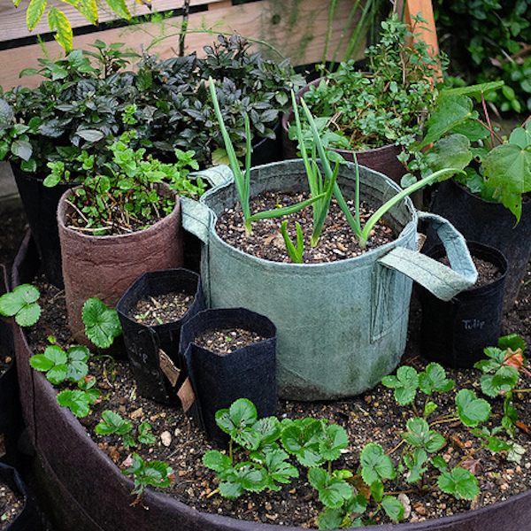18L Géotextile Smart grow Pot déco jardin fleurs container Root Pouch noir 